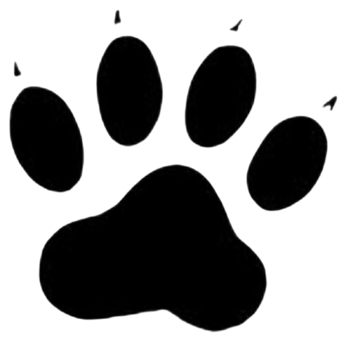 SOCIEDAD CIENTÍFICA VIDA SILVESTRE